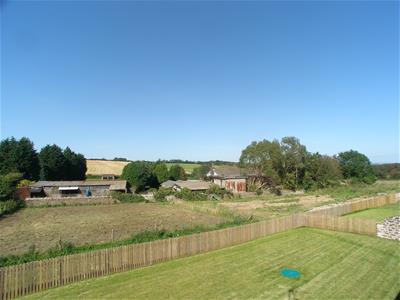 Picture 9